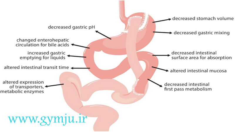 تغییرات فیزیولوژیکی